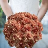 18 Hastes De Cravo Artificial Realista Para Composição De Arranjos Florais Decoração De Casa Ou Eventos