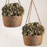 18 Mini Buquês De Flores Artificiais 26x22 Hortênsia Permanente Realistas Para Decoração Refinada