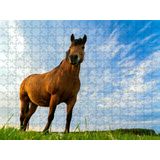 Quebra-cabeça Inclusivo 300 Peças Cavalos Elite Que Encantam