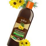 Shampoo Alecrim E Arnica Yabae – Vegano