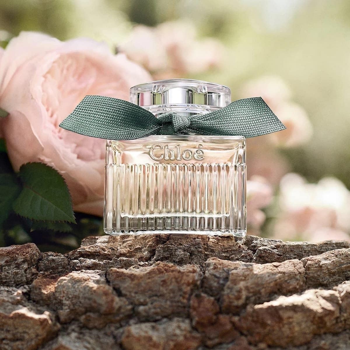 Perfume Chloé Rose Naturelle Intense Eau De Parfum 50ml - Carrefour