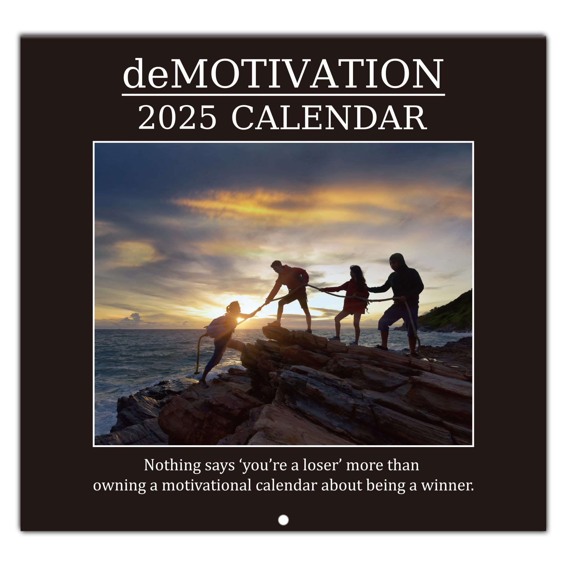 Calendário Anvianthor Demotivational 2025 30x30cm Hd Snarky