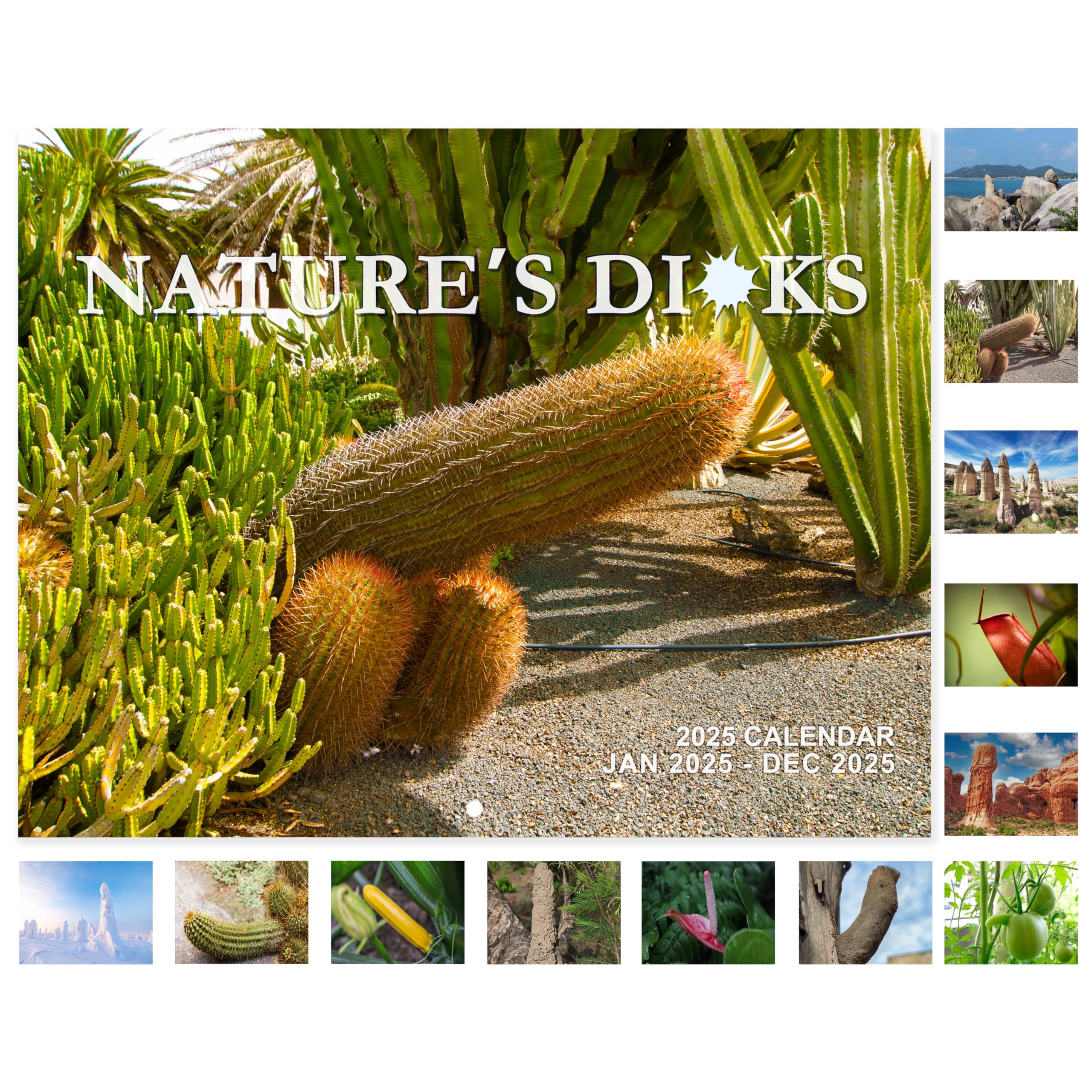 Calendário Chambom 2025 Wall 11x17" Com Imagens Nature's Di*ks