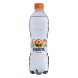 Água Mineral Lindoya Verão Com Gás 510ml