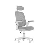 Cadeira De Escritorio Elements Astra Cinza/branco