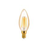 Lâmpada Led Save Energy Filamento Vela Vintage Ip65 4w E14 127v Se-345.1383