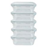 Conjunto 5 Potes Alimentos Hermético Marmita Vidro Fit