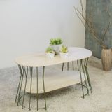 Mesa De Centro Decorativa Com Prateleira Verde Oliva/legno