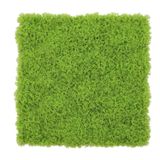 Jardim Vertical Musgo Claro Gg080a Pack 4pç / 1m² Musgo