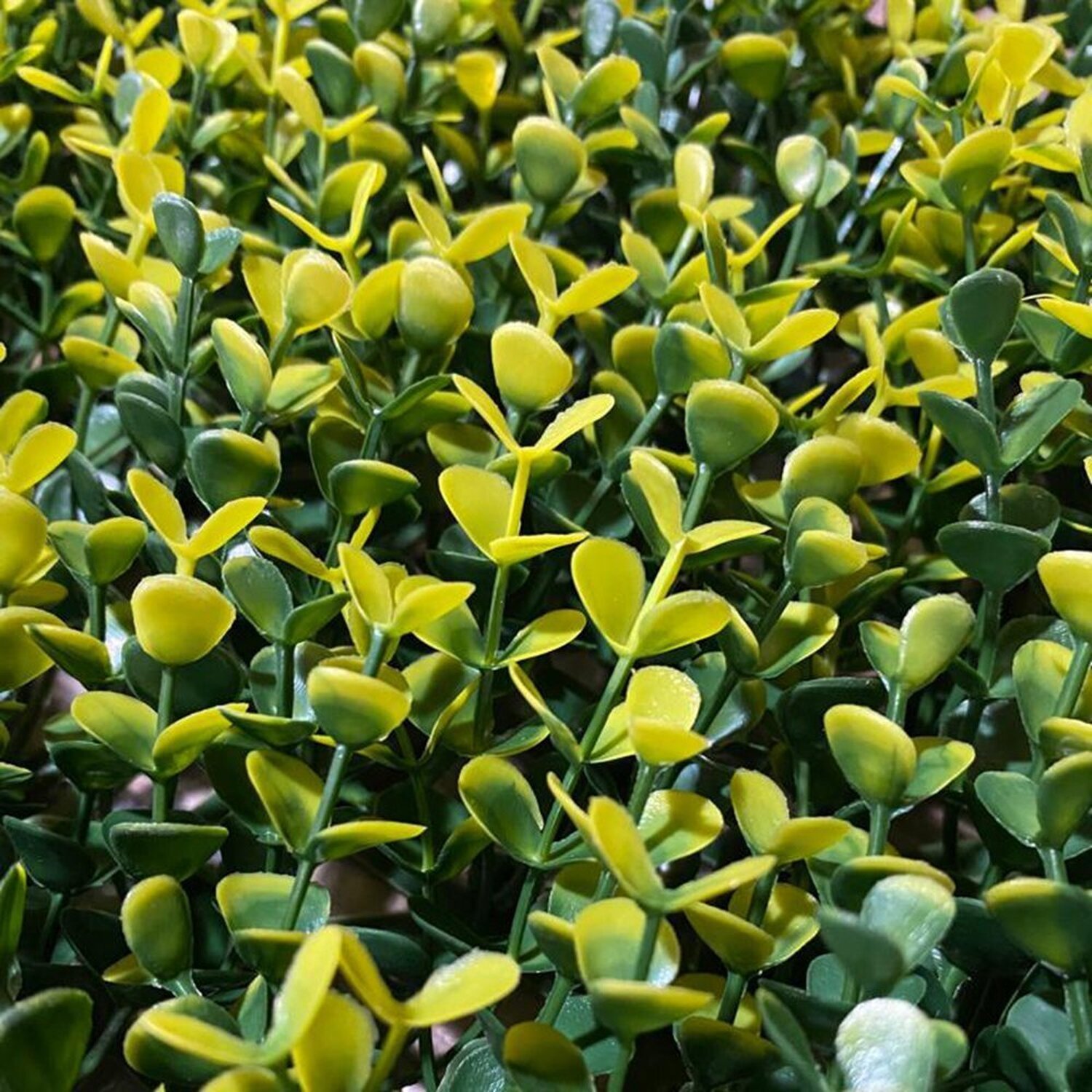 Jardim Vertical Outono Gg003a Pack 4pç / 1m² Outono