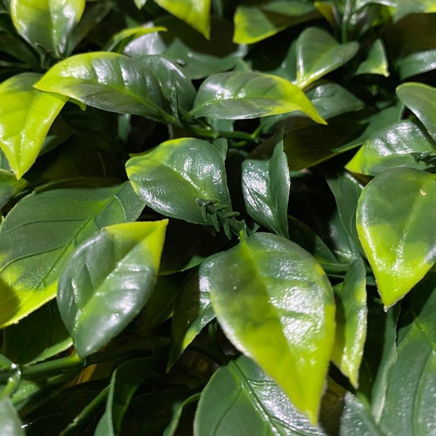 Jardim Vertical Jardim Gg024c Pack 4pç / 1m² Jardim