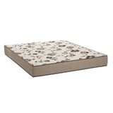 Colchão Queen Physical D28 22cmx158cmx198cm Ortobom Creme/Marrom