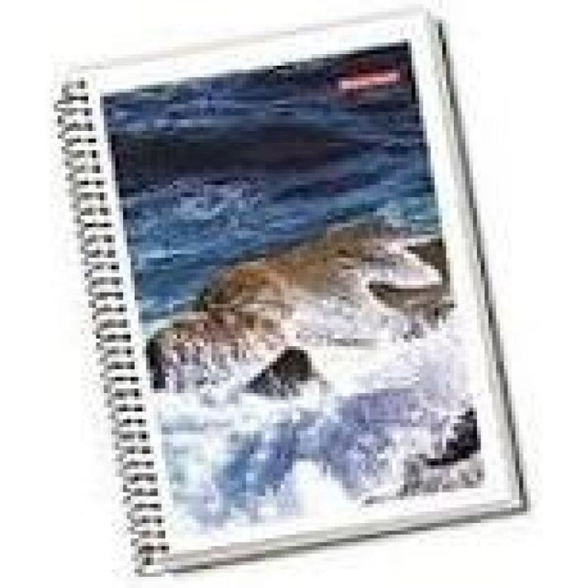 Kit 2un Caderno Universitário Capa Dura 20 Matérias Escolar - imagem 4