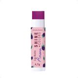 Lip Balm Frutas Amora Fps 15 Regenera Hidrata Os Lábios