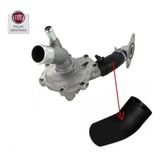 Mangueira Bomba Agua Etorq Tds 1.6 E 1.8 Palio Linea Punto..