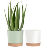 Vasos Para Plantas Com Vasos De Flores De Plástico De 10 Polegadas Com Pires, Pacote Com 2 Unidades
