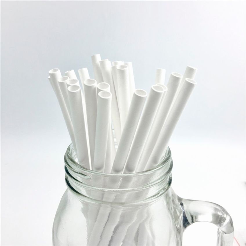 Canudo Biodegradável Pequeno Branco 8mm 100 Unidades - imagem 4