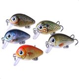 Kit Com 5 Mini Iscas De Pesca Artificiais Crankbait Meia Água Material Acessório Pescaria