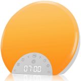 Despertador Sunrise Alarm Antdalis Wake Up Light Rádio Fm De Alarme Duplo