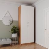 Guarda Roupa 2 Portas Com Cabideiro 2 Gavetas Hera Cabecasa Madeiramadeira Louro/branco Geada