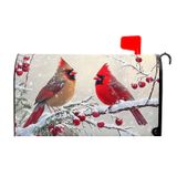 Capa De Caixa De Correio Kawani Winter Christmas Birds Holly 64,8x53cm