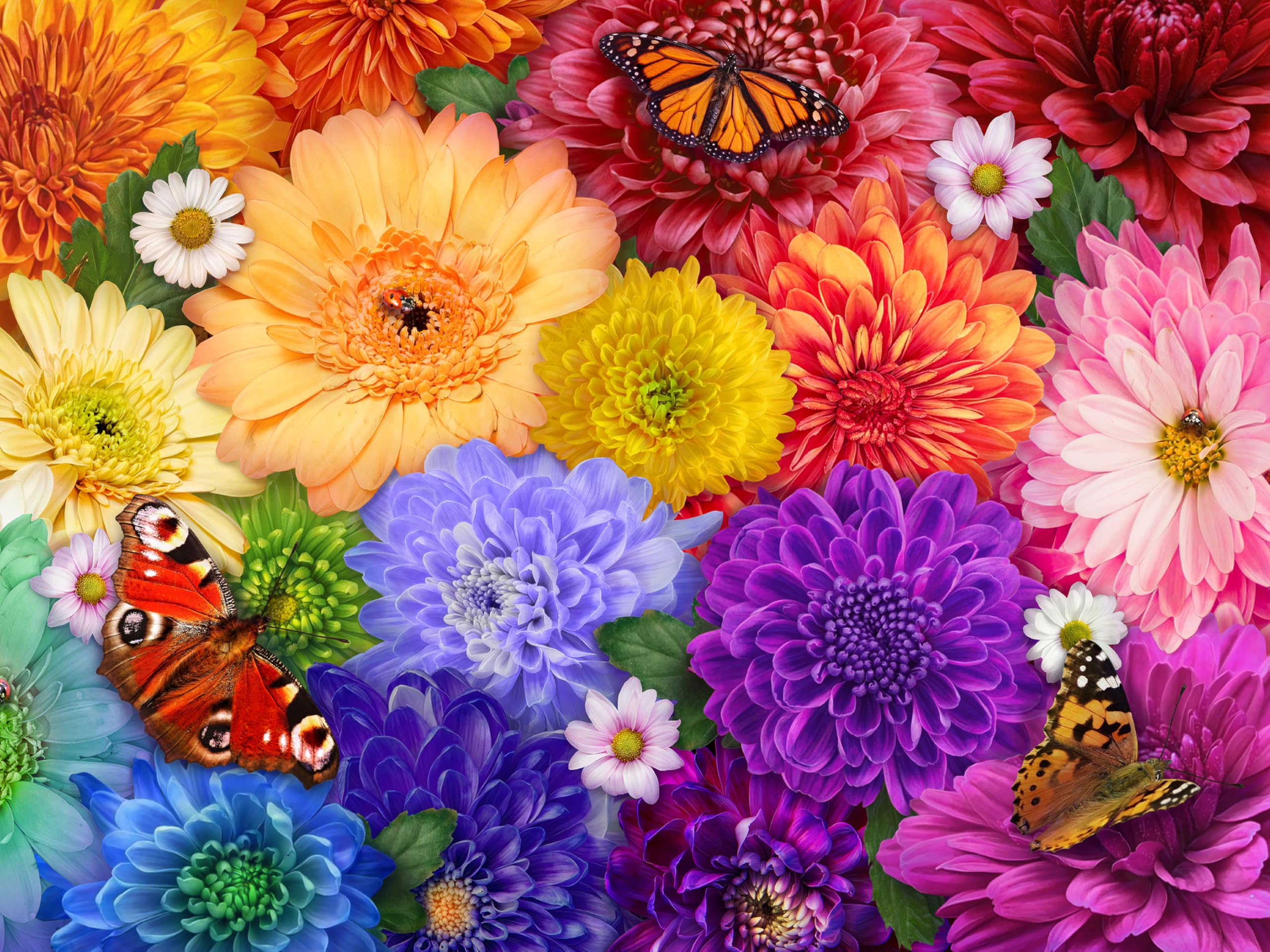 Quebra-cabeça Ceaco Flower Spectrum 300 Peças