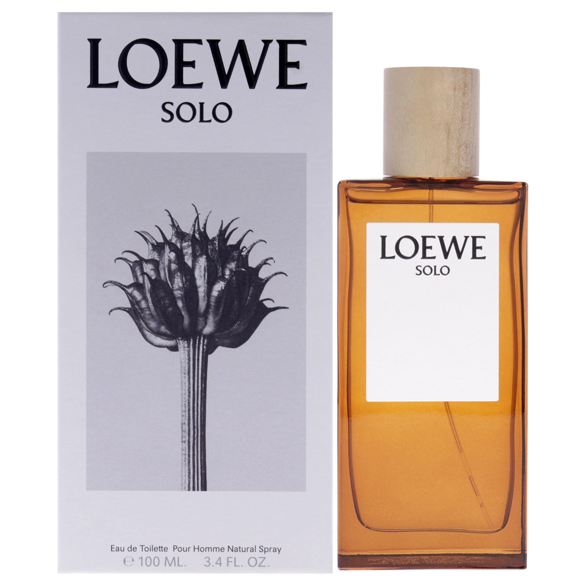 Perfume Loewe Solo Para Homens Edt Spray 100ml - Carrefour