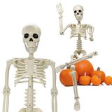 Decorações De Esqueleto De Halloween Dinesil 3 Pés (90 Cm) 36 Unidades