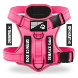 Colete Refletivo Demigreat Service Dog Harness Com 5 Adesivos