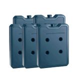 Placa Gelo-x Gel Reutilizável 500ml Artificial 5 Unidades