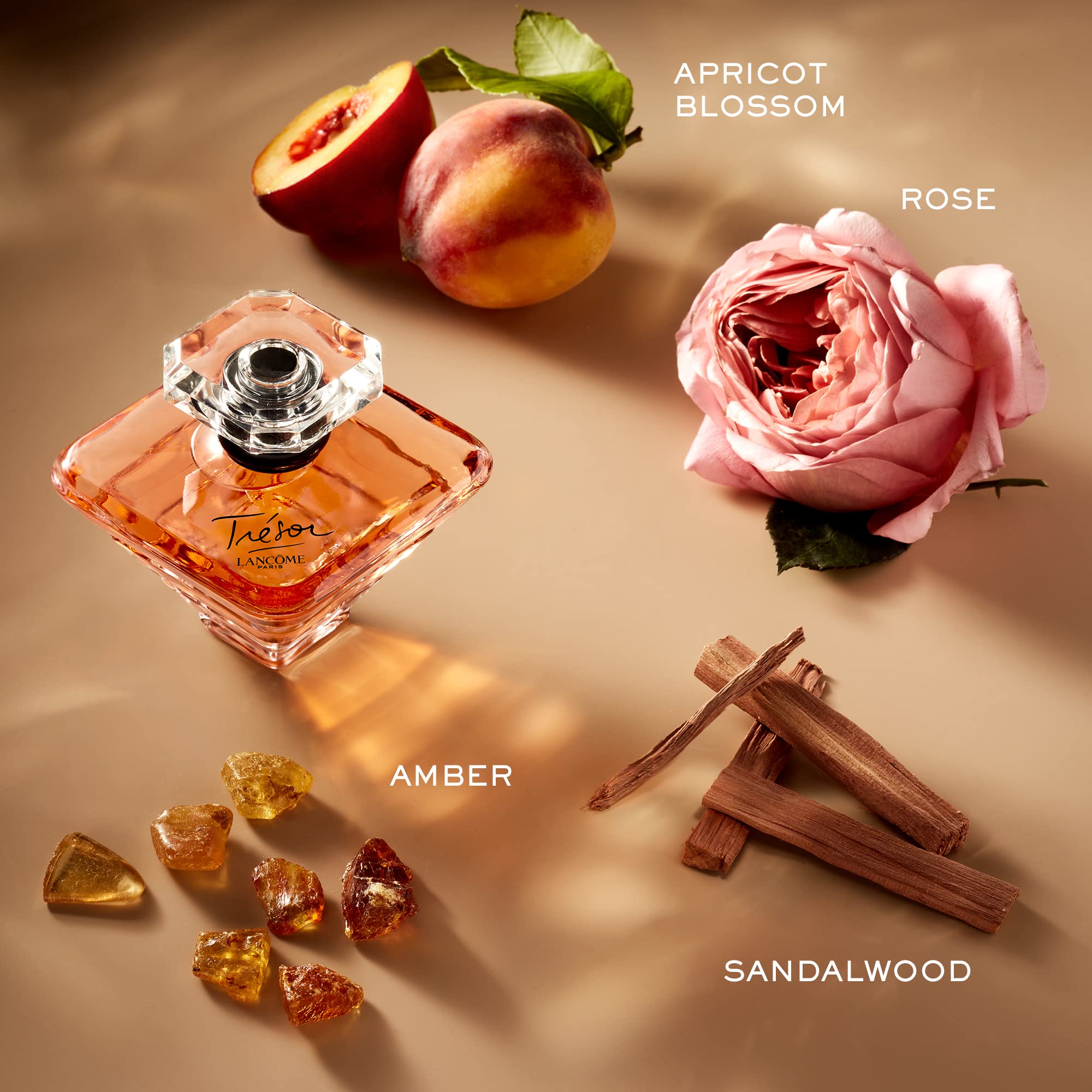 Perfume Lancôme Trésor Eau De Parfum 25ml Para Mulheres - Carrefour