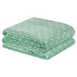 Manta Casal Padrão Petit Poa Flannel Microfibra 1 Peça - Salvia