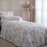 Jogo De Cama Solteiro 180 Fios Orquidário - Buddemeyer Estampado