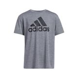 Camiseta Adidas, Tamanho Masculino, Manga Curta, Com Logotipo Aeroready Performance, Cinza Carvão, Mesclada, Pequena (mais De 8)