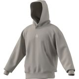Moletom Com Capuz Adidas All Szn Fleece Wonder Alumina Para Homem