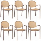 Kit 6 Cadeiras De Jantar Roma Com Braço Para Sala E Cozinha - Marrom Claro