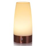 Luz Noturna Com Sensor De Movimento Betus Retro Luminária De Mesa De Cabeceira