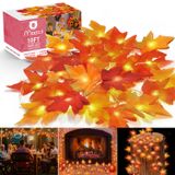 Bateria Led String Lights Moocii Fall Maple Leaf De 20 Pés E 40 Led