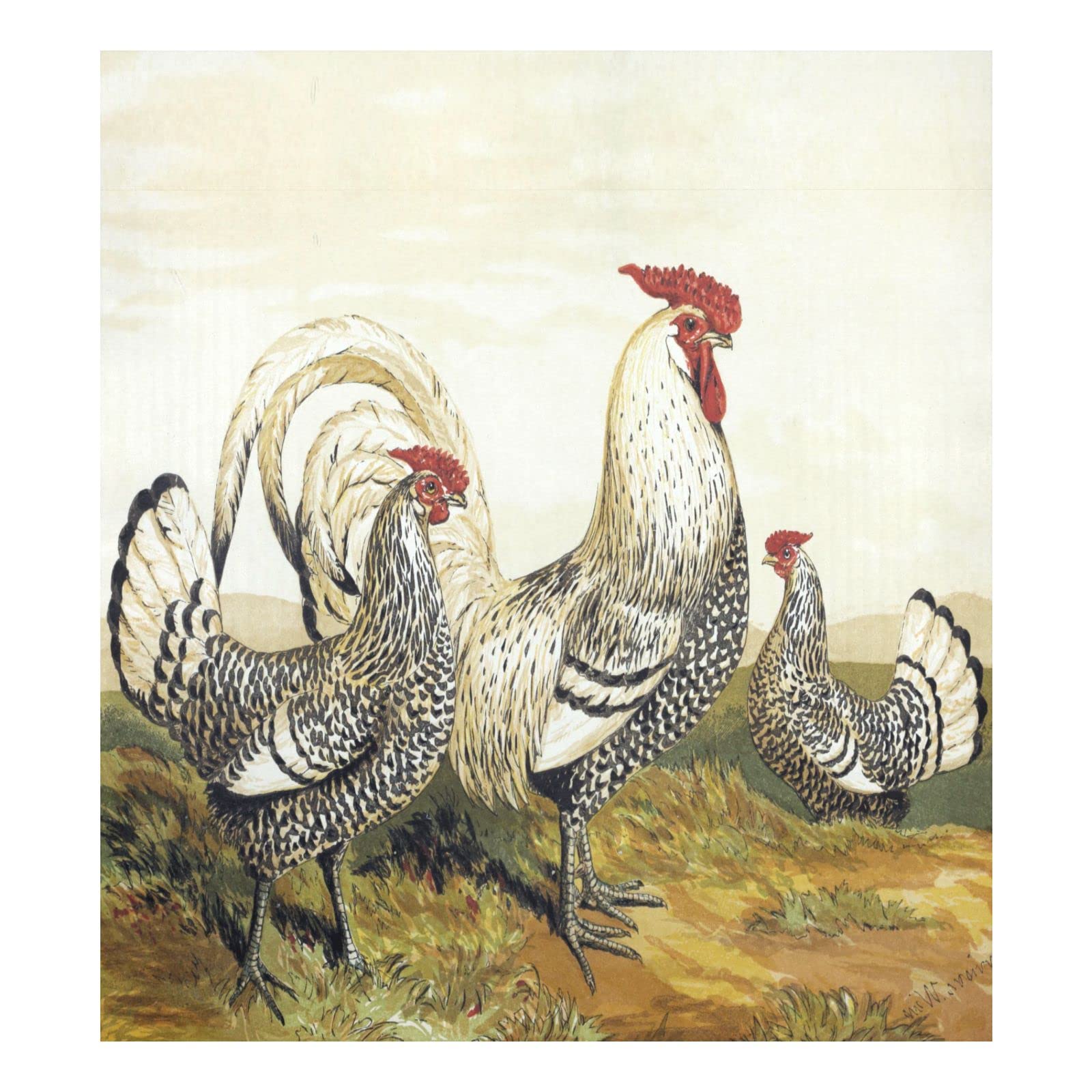 Tampa Magnética Para Lava-louças Naanle Vintage Rooster 58x66cm