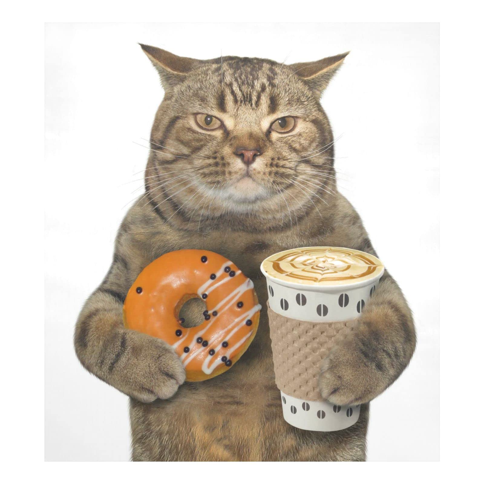 Tampa Magnética Para Lava-louças Naanle Cat Drinks Coffee 60x65cm