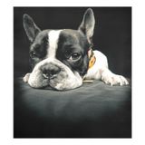 Capa Magnética Para Máquina De Lavar Louça Naanle Animal French Bulldog