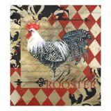 Capa Magnética Para Lava-louças Naanle Plaid Vintage Rooster 23x26