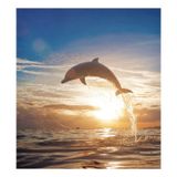 Tampa Magnética Para Lava-louças Naanle Ocean Jumping Dolphin 23x26