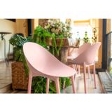 Conjunto Com 2 Cadeiras Para Jardim Pétala Rose
