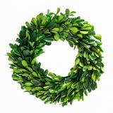 Coroa De Buxo Preservada Boxwood World 25 Cm Decoração De Casa