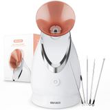 Vaporizador Facial Ezbasics Vaporizador Facial Iônico Com Kit De Pele 98ml