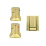 Kit Com 2 Acabamento Registro E 1 Válvula De Descarga Ducon Metais Gold