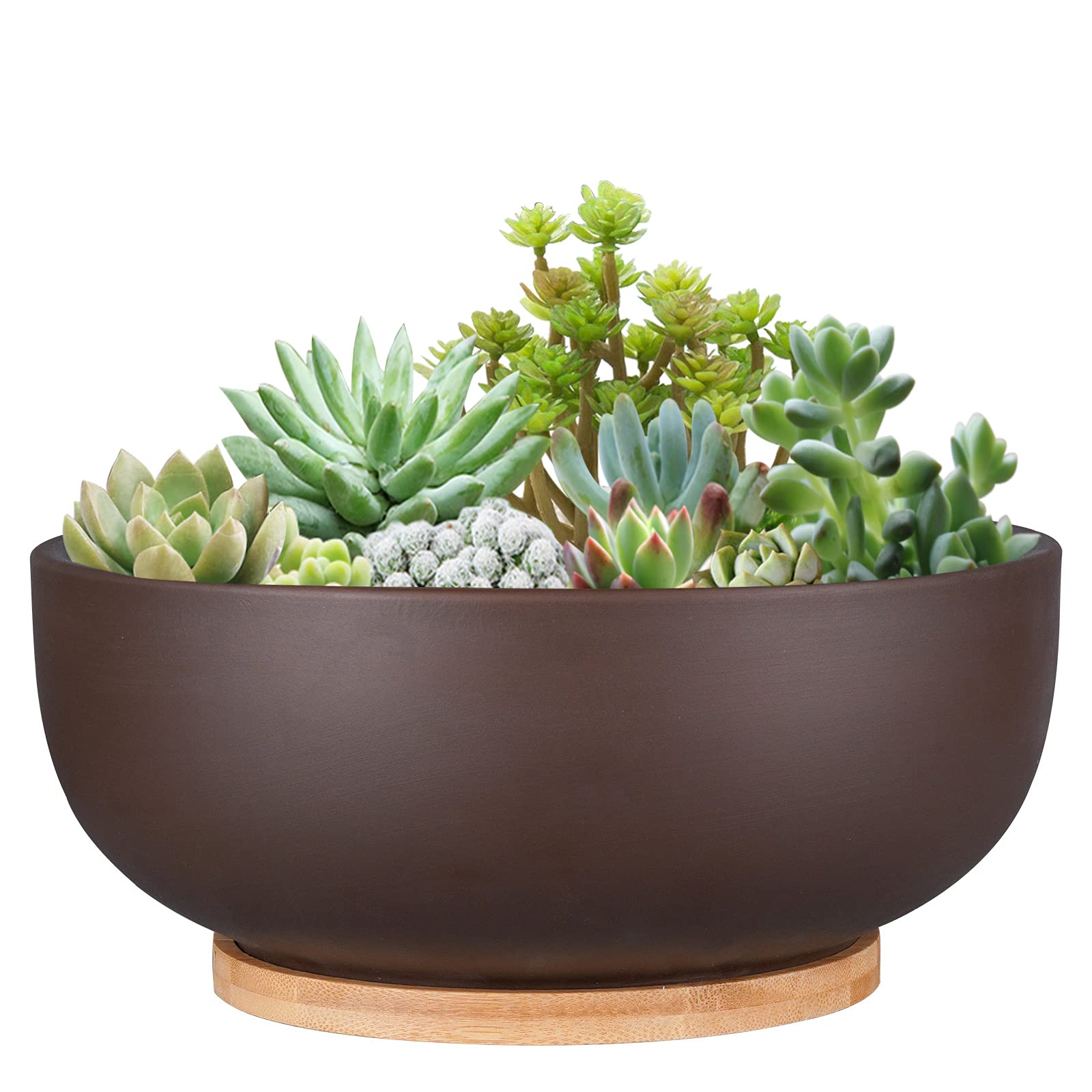 Plantador De Terracota Thirtypot 25 Cm Com Orifício De Drenagem E Pires