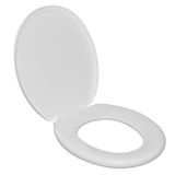 Assento Sanitário Oval Almofadado Com Tampo Fosco Astra Branco Branco