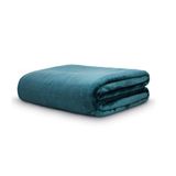 Cobertor Casal Neo Velour 180x220 Liso 300g/m Verde